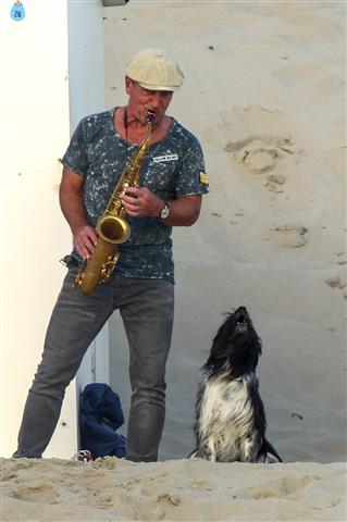 saxophone and dog
